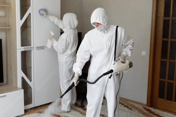 Mold Removal Process in Gulfport, FL